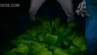 عاهرة سمراء بشهوة التبول تنقع مرتبتها في هذا المشهد الصريح