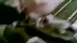  شابة خائنة تحصل على نكاح شرجي قاسٍ من عشيقها