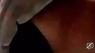 الديك الأسود الهرة مشعر مشعرات مزدوجة